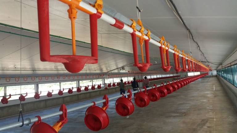 Pecua_Equipamiento_13