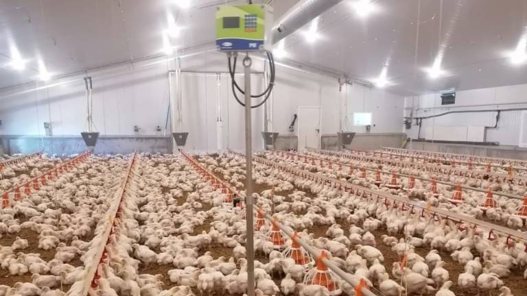 Pecua_Equipamiento_11