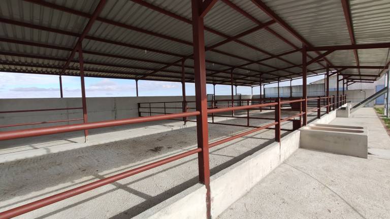 Pecua_Equipamiento_16