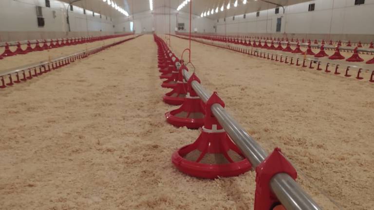 Pecua_Equipamiento_10