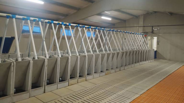 Pecua_Equipamiento_2