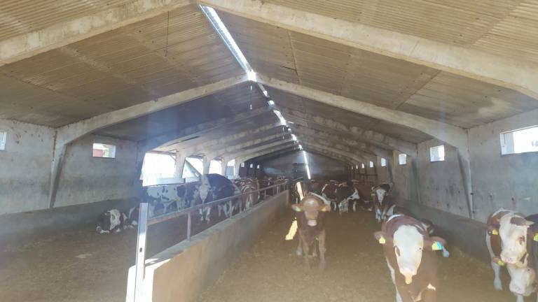 Pecua_Equipamiento_15